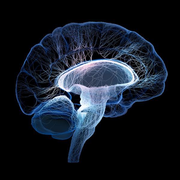 Médicos hallan por accidente el interruptor cerebral de la conciencia humana-0