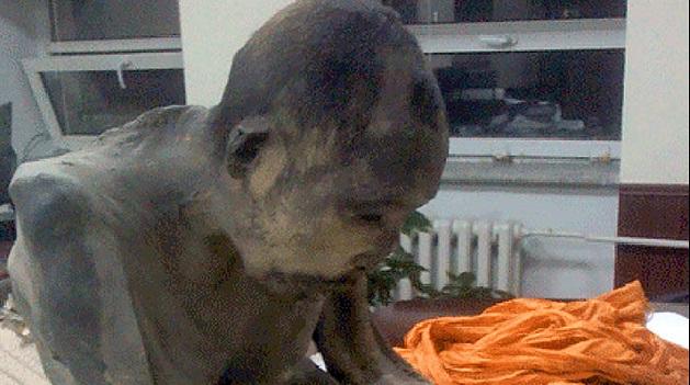 ¿Quién era el monje momificado hallado en Mongolia?-0
