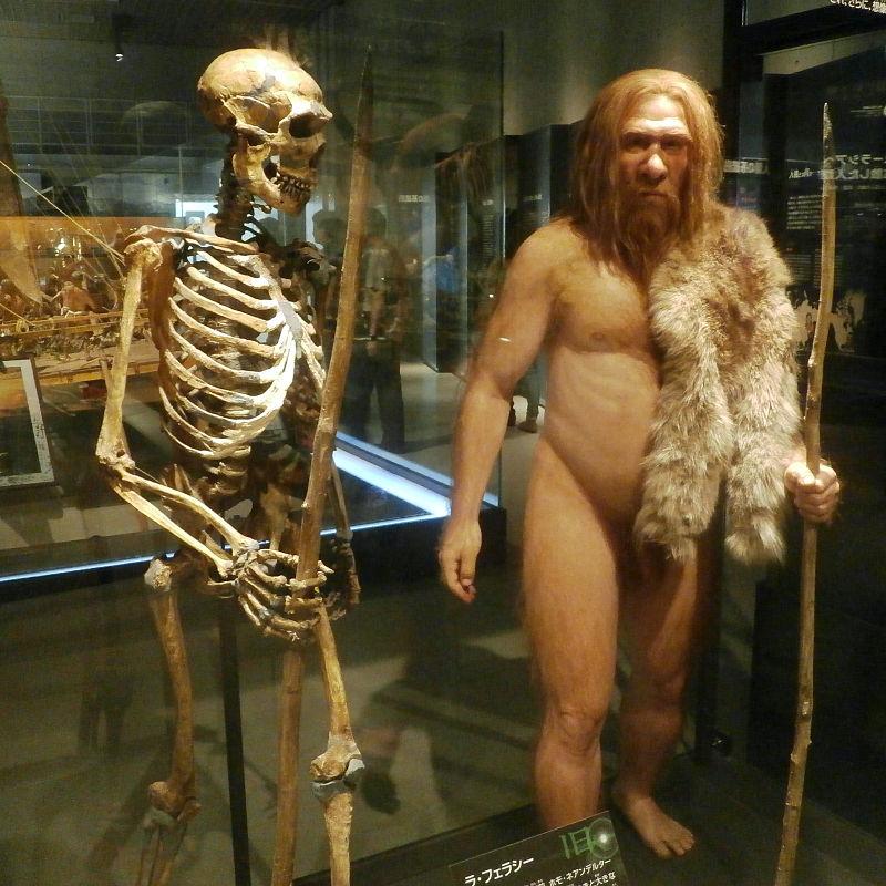 ¿Tienes genes de neandertal? Descubre a qué linaje prehistórico perteneces-0