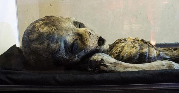 Anuncian primeros resultados científicos sobre momia "humanoide" de Perú-0